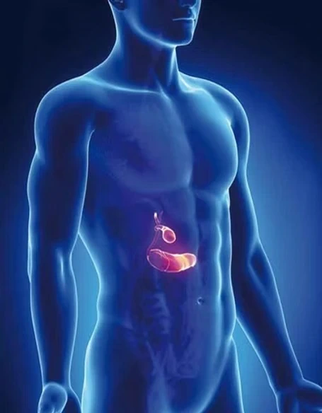 vésicule biliaire 1