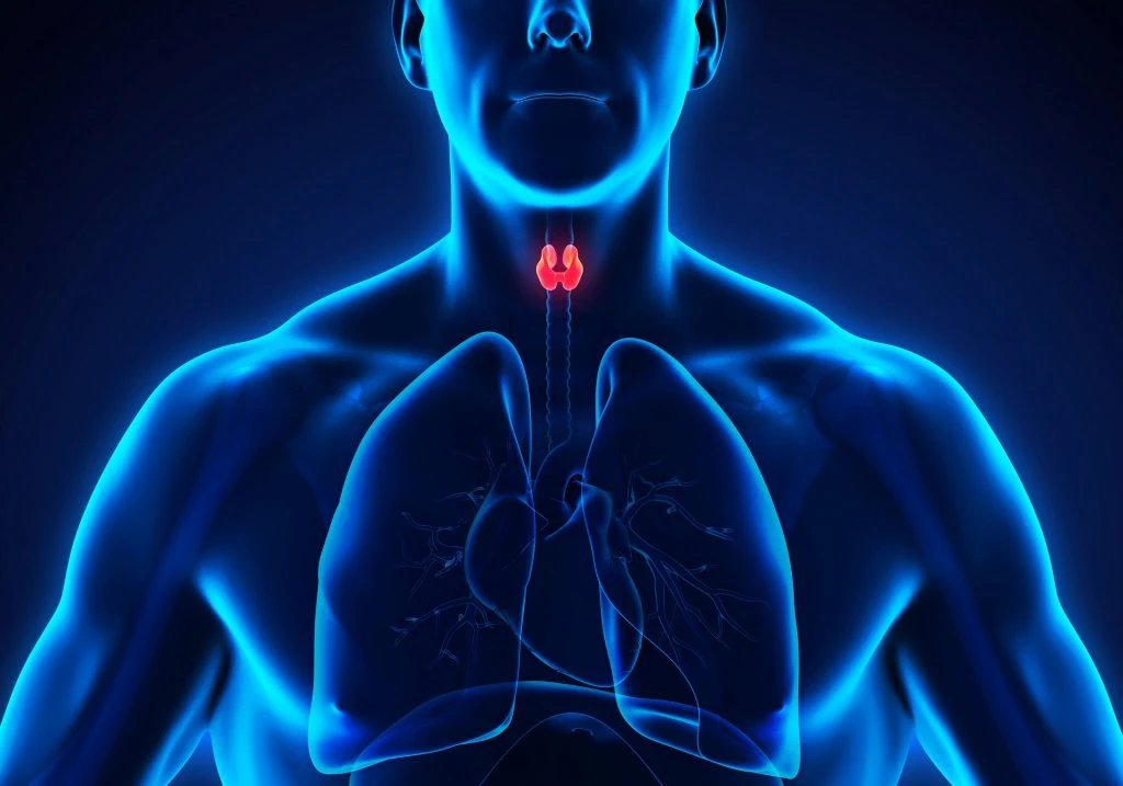 chirurgie de la glande thyroïde par voie axillaire assistée par robo 2